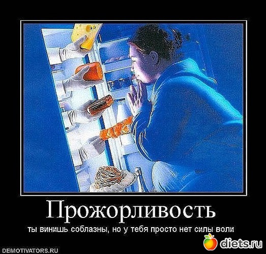 3 ����: ����������)