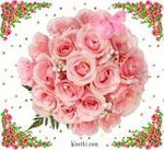 shutova_irina,   !!!