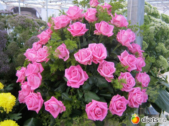 3 фото: выставка цветов 2012