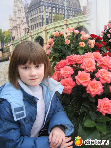 5 фото: выставка цветов 2012