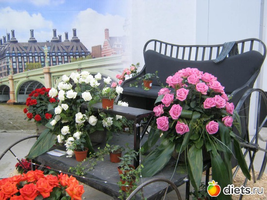 8 ����: �������� ������ 2012