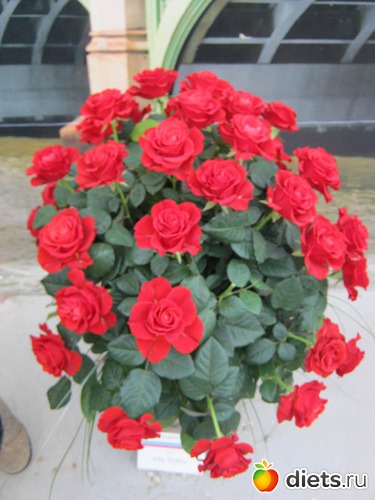 10 ����: �������� ������ 2012