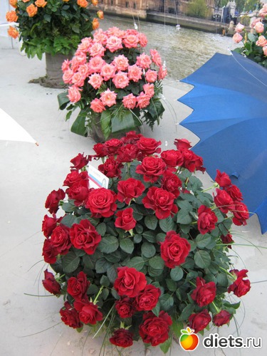 11 ����: �������� ������ 2012