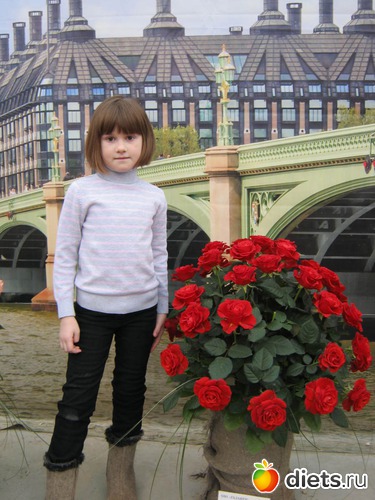 12 ����: �������� ������ 2012