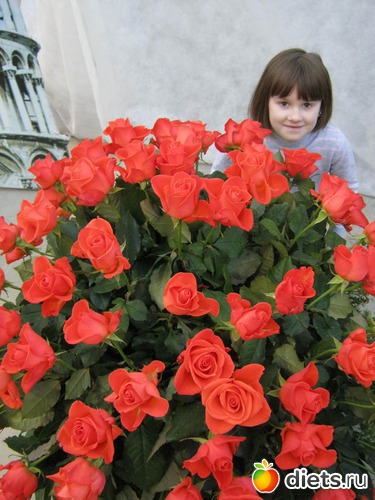 15 ����: �������� ������ 2012