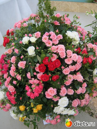 20 ����: �������� ������ 2012