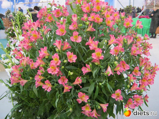 21 ����: �������� ������ 2012