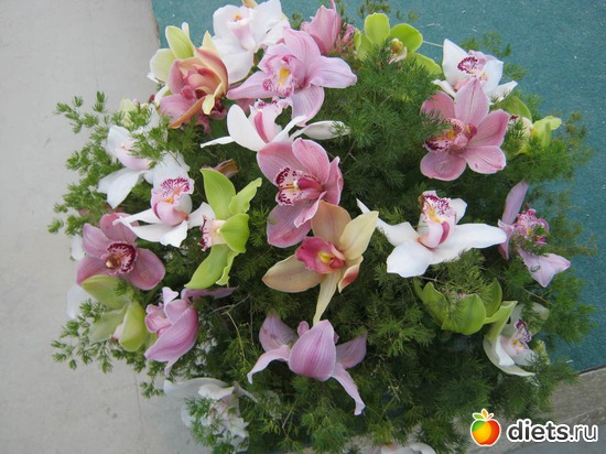 23 фото: выставка цветов 2012