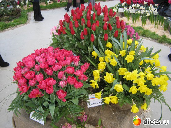 24 ����: �������� ������ 2012