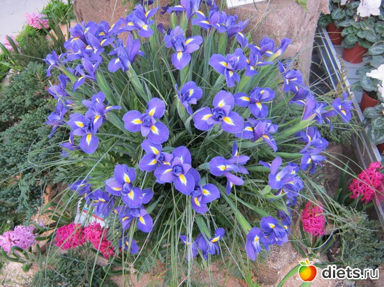 29 ����: �������� ������ 2012