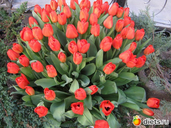 33 ����: �������� ������ 2012