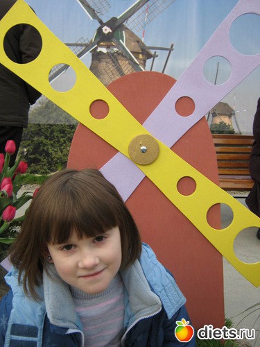 38 фото: выставка цветов 2012