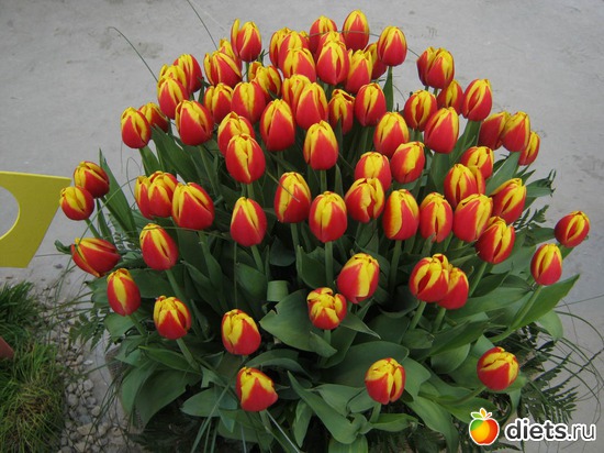 39 ����: �������� ������ 2012