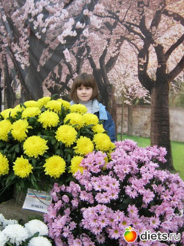 41 ����: �������� ������ 2012