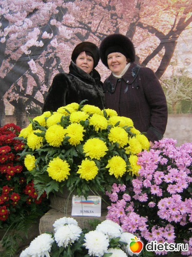 43 фото: выставка цветов 2012