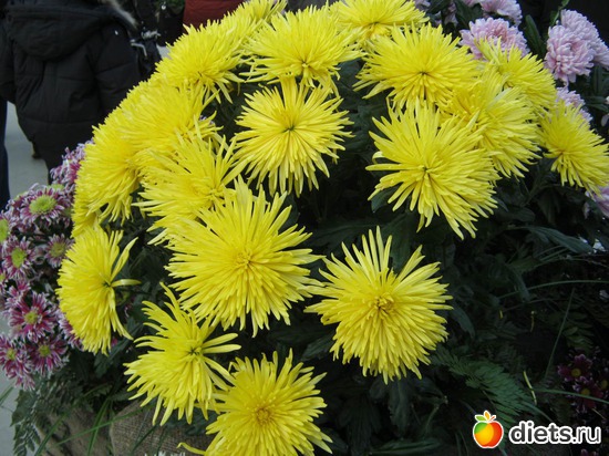 45 ����: �������� ������ 2012