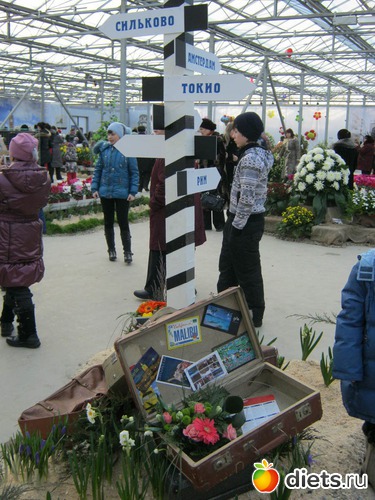 46 фото: выставка цветов 2012