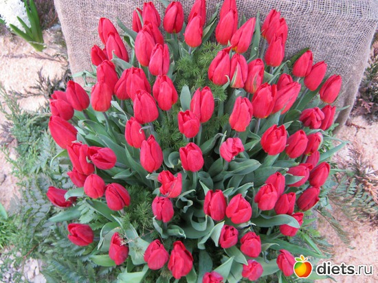 47 ����: �������� ������ 2012