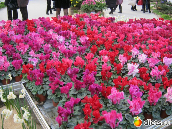 48 ����: �������� ������ 2012