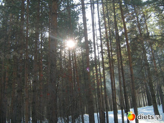 5 ����: �������� .