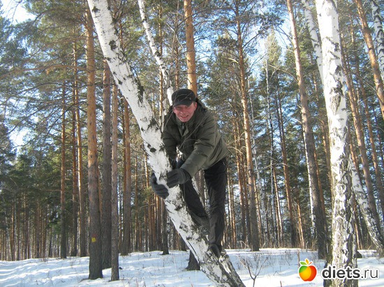 13 ����: �������� .