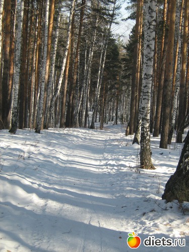 14 фото: Прогулка .