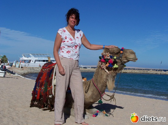 4 ����: ������ ������ 2012