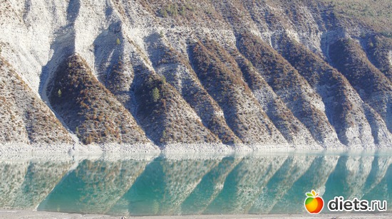 8 ����: �������