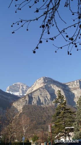 10 ����: �������