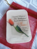 Мои работы на 8 марта))