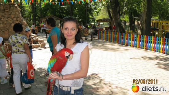 4 ����: ��� ����