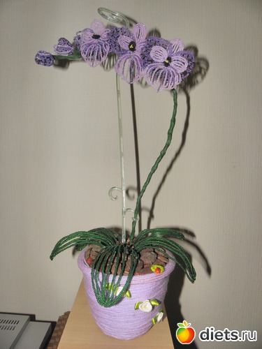 �������, ������: ������ ������