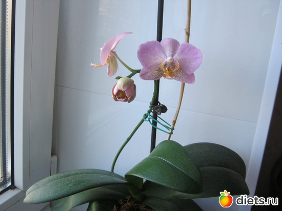 11 ����: ��� ����� - �����