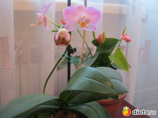 15 ����: ��� ����� - �����