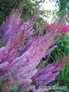 ��� � ������