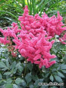 ��� � ������