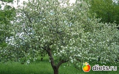 ��� � ������