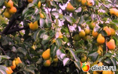 ��� � ������