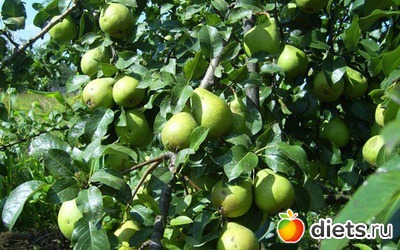 ����� ��������