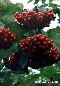 ��� � ������