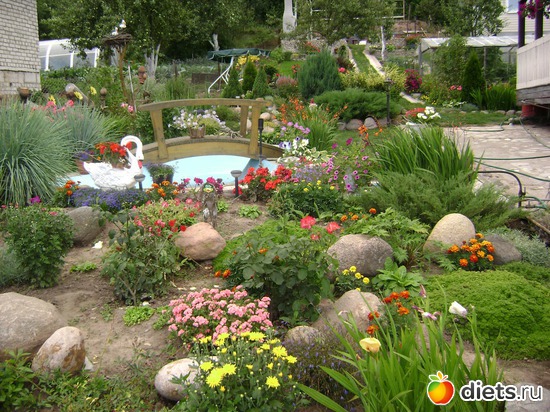 1 ����: ���  �����.