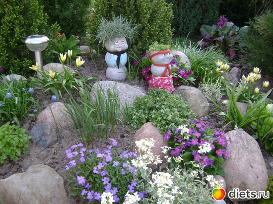 3 ����: ���  �����.