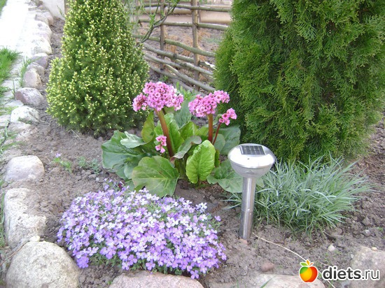 5 ����: ���  �����.