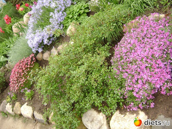 6 ����: ���  �����.