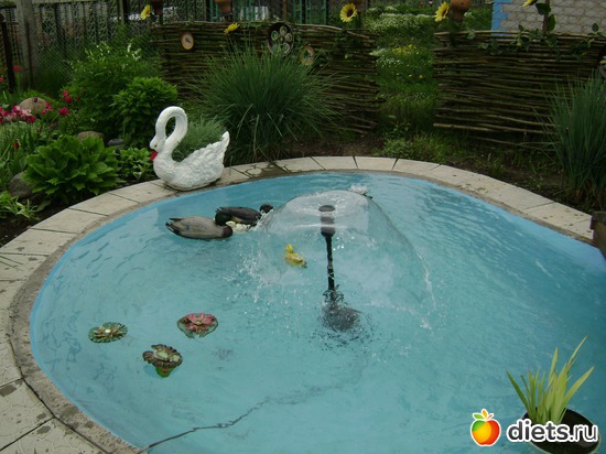 7 ����: ���  �����.