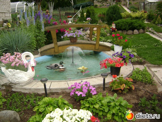 13 ����: ���  �����.