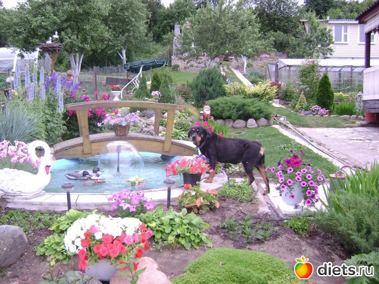 14 ����: ���  �����.