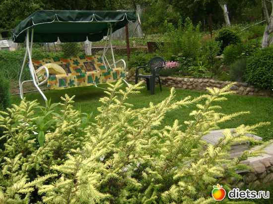 16 ����: ���  �����.