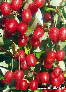 ��� � ������