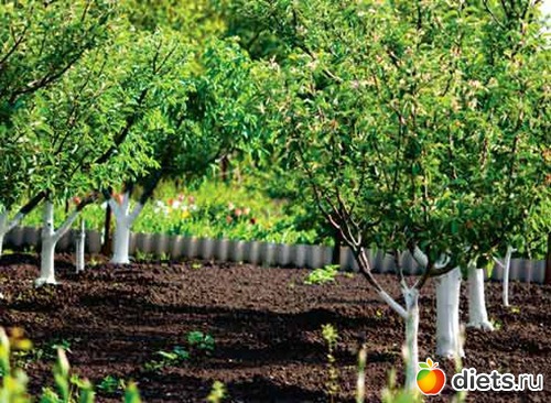 ��� � ������